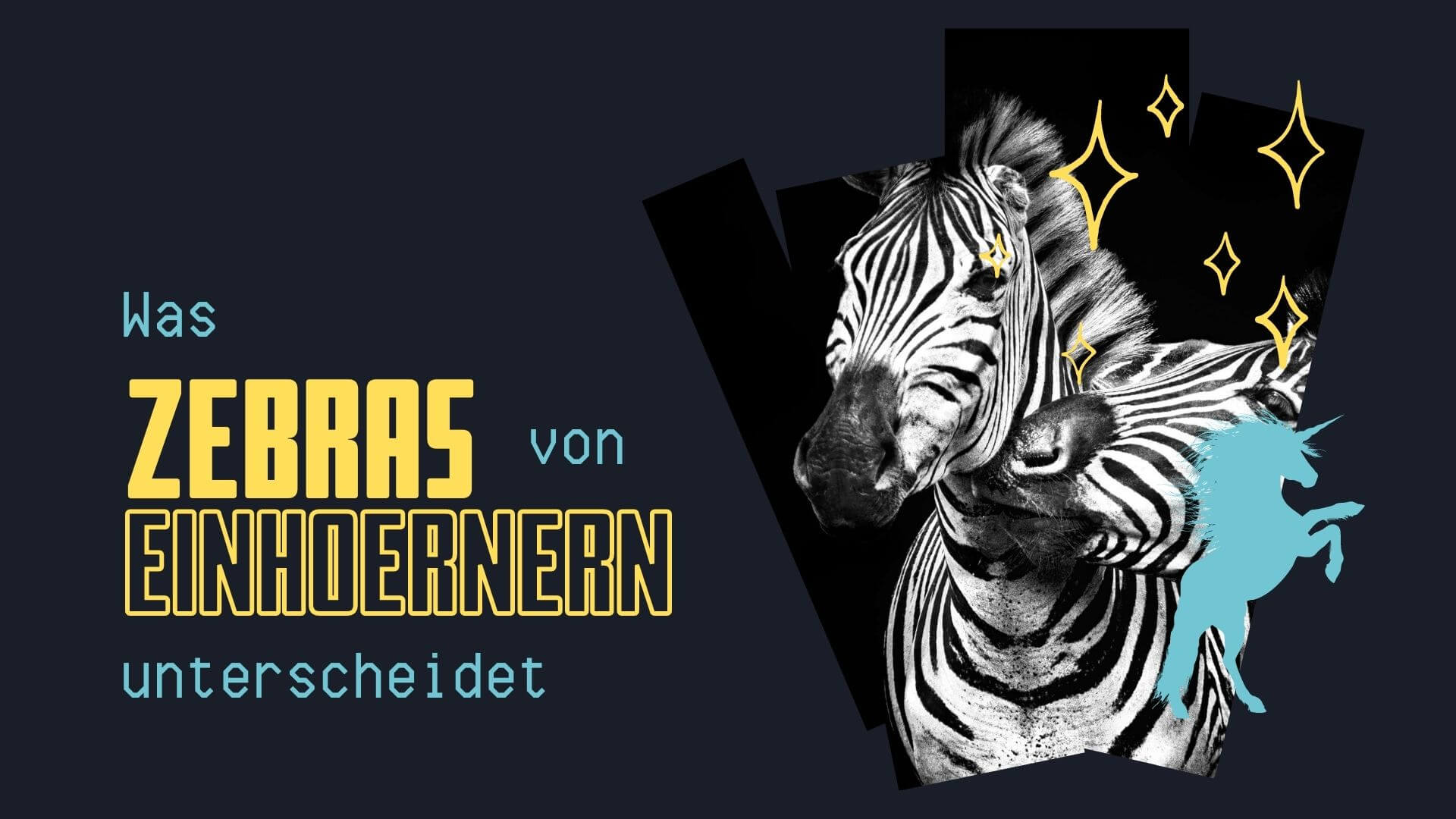 Warum sind Zebras besser als Einhörner?